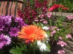 11165324_10152888930444607_4733935184669784274_n