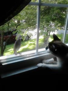 Birdwatching with Maya.